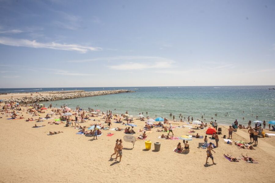 Barcelona: 2-Hour City Sights Guided Segway Tour - Price Check: Is $34 Worth It for 2 Hours?
