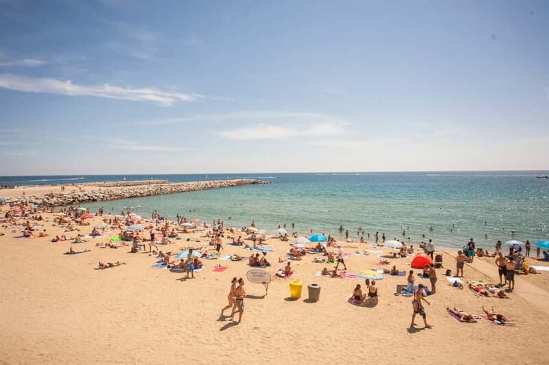 Barcelona: 2-Hour City Sights Guided Segway Tour - Barcelona of 1992, Olympic Port, and Why the Seafront Feels Faster on a Segway