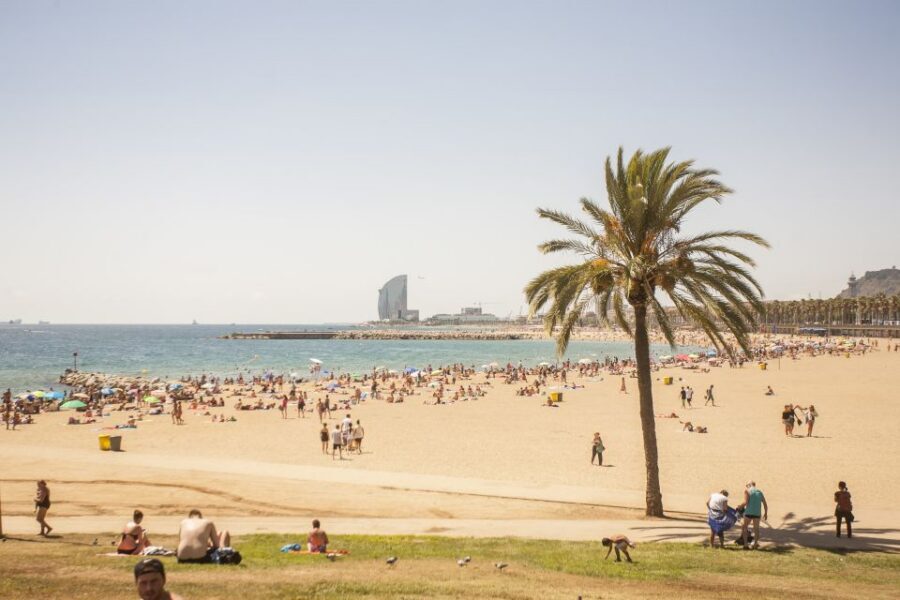 Barcelona: 3-Hour Segway Sightseeing Tour - Olympic-Era Barcelona: From Port Olimpic to Vila Olímpica