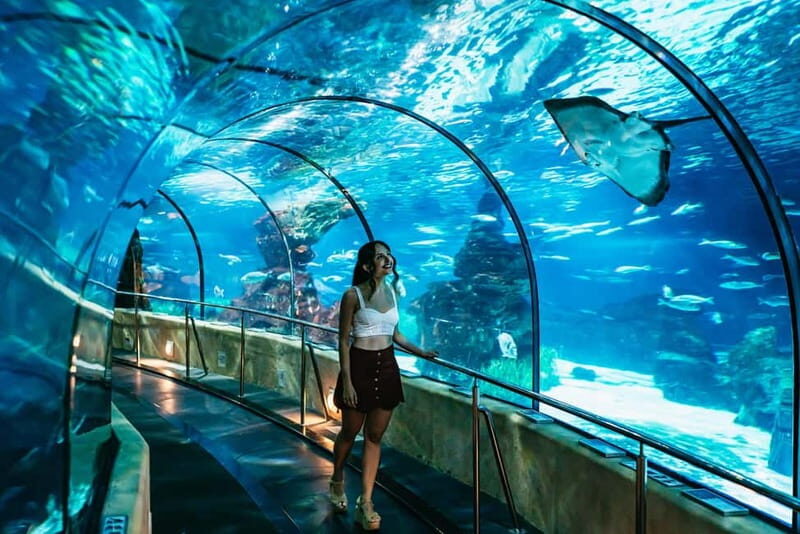 Barcelona Aquarium: Entry Ticket - Key things to know before you go