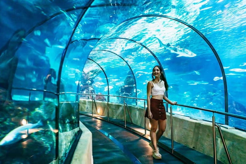 Barcelona Aquarium: Entry Ticket - Facilities for families and mobility needs