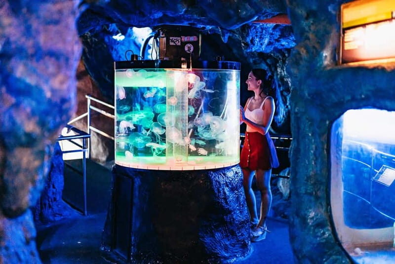 Barcelona Aquarium: Entry Ticket - Getting in smoothly: how the visit starts