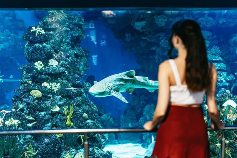Barcelona Aquarium: Entry Ticket - Breaks, cafés, and the shop: keep the day comfortable