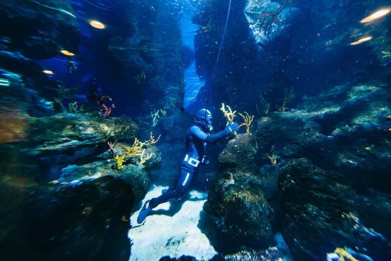 Barcelona Aquarium: Entry Ticket - Timing tips: when to go for fewer crowds