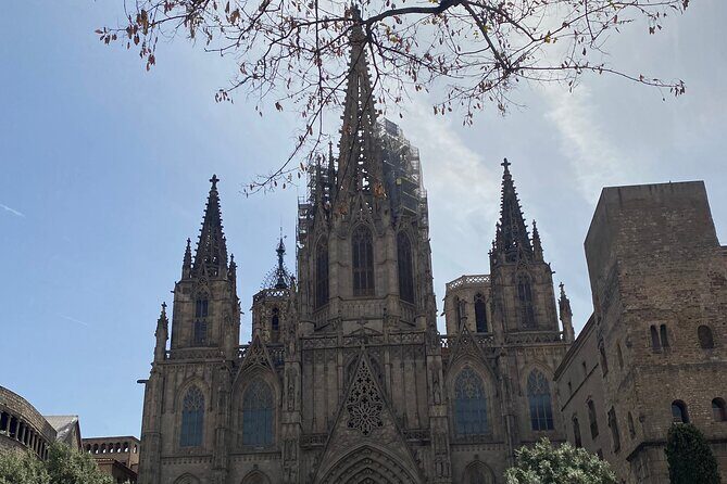 Barcelona: Bar Crawl at Gaixample - Price and Value: Why $29.02 Can Make Sense