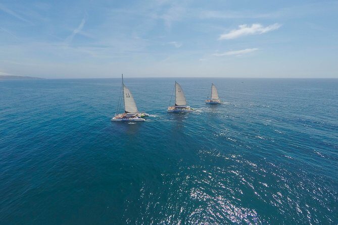 Barcelona Catamaran Party Tour For Young People - A 3-hour party cruise that starts at Port Olimpic