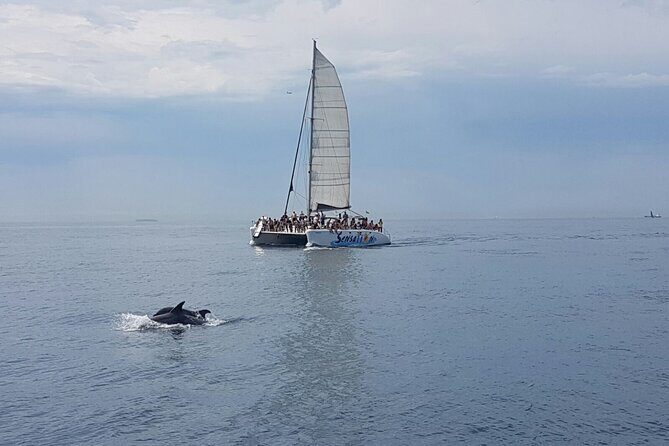 Barcelona Catamaran Party Tour For Young People - Entering the fun: where to meet and what to bring