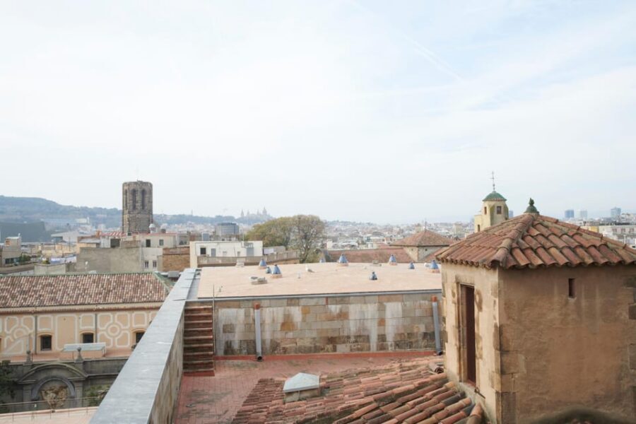 Barcelona Cathedral: Ticket, Guided Tour and VR Experience - What You’re Paying For: Price, Included Access, and Real Value