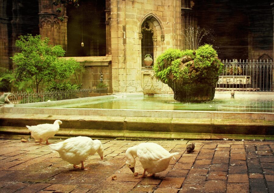 Barcelona Cathedral: Ticket, Guided Tour and VR Experience - Big Moments in Barcelona History You’ll Hear While You Walk