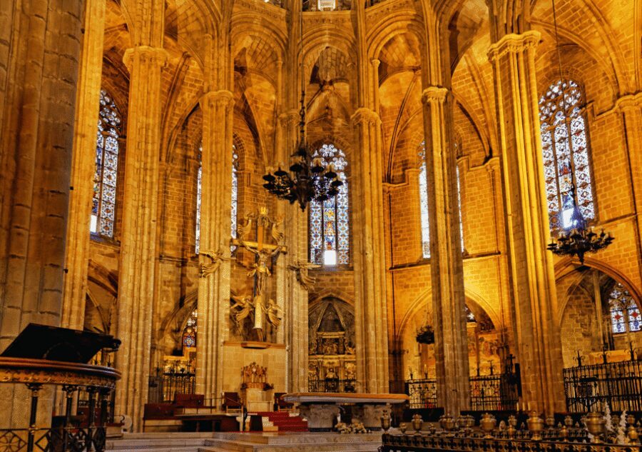 Barcelona Cathedral: Ticket, Guided Tour and VR Experience - Terraces and Rooftop Views: The Part You’ll Remember Later