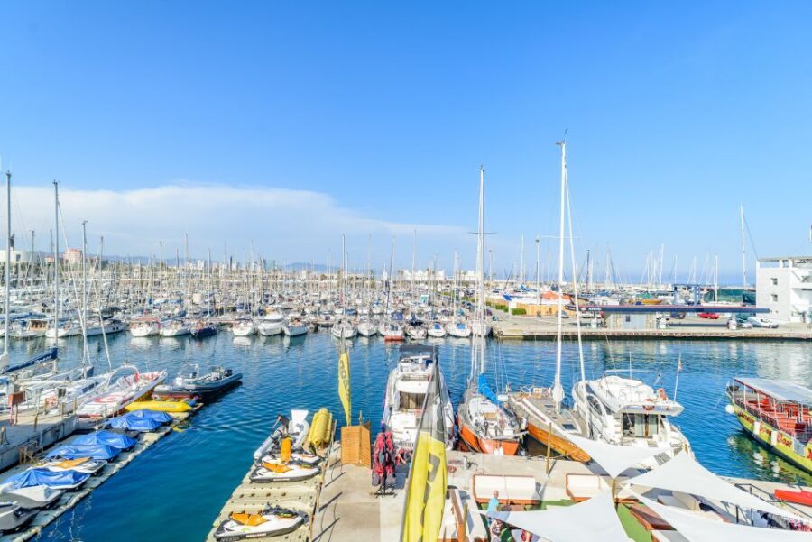 Barcelona: City and Seafront Guided Segway Tour - From Port Vell Area to Olympic Port: Big Views Without the Fuss