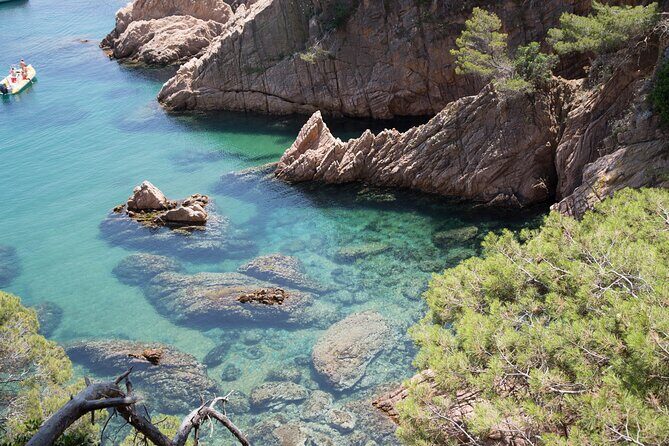 Barcelona: Costa Brava Easy Hike, Snorkel, Cliff-Jump & Meal - The Real Magic: You Get the Coast, Not Just a Beach Stop