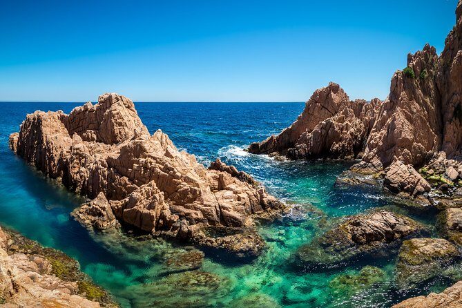 Barcelona: Costa Brava Easy Hike, Snorkel, Cliff-Jump & Meal - Snorkeling in Protected Waters: Included Gear, Real Sea Life