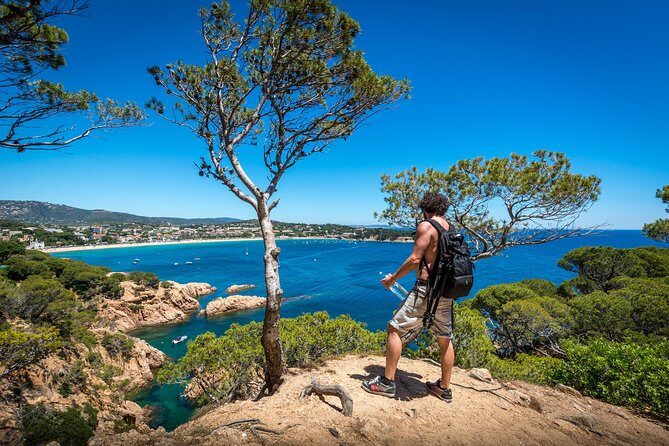 Barcelona: Costa Brava Easy Hike, Snorkel, Cliff-Jump & Meal - Leaving Barcelona at 8:30: Comfortable Ride, Real Start Time