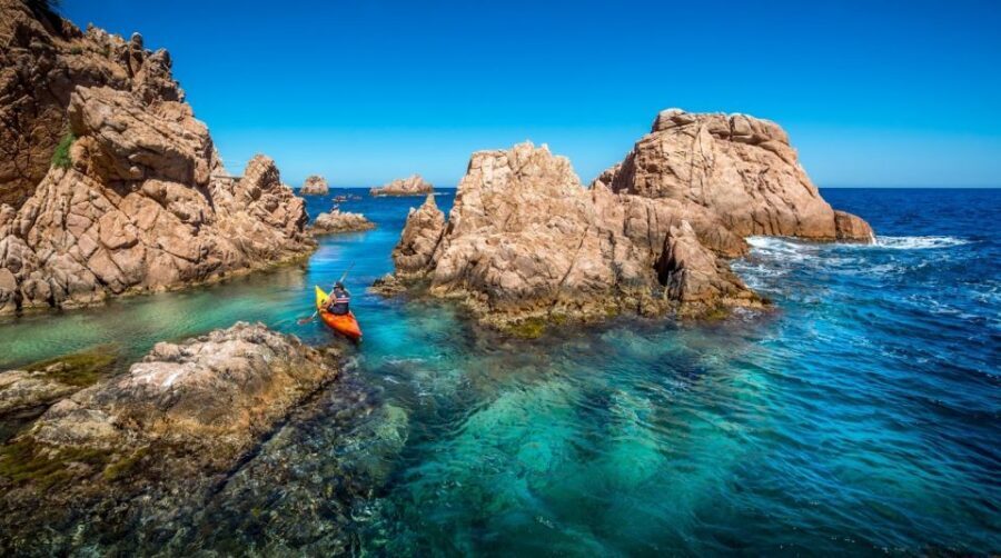 Barcelona: Costa Brava Kayak, Snorkel & Cliff Jump & Lunch - Snorkeling and Marine Life: Expect Color, Not Guarantees