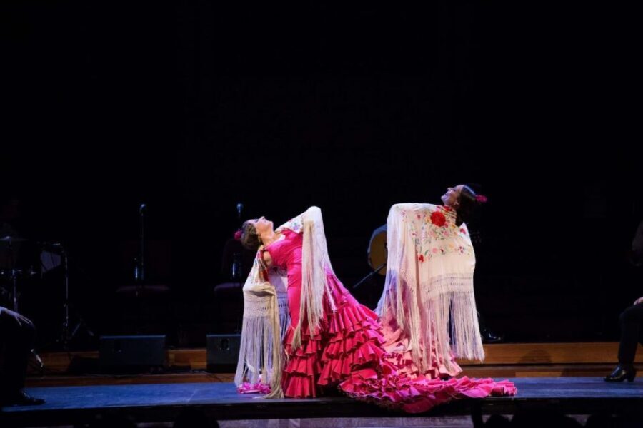 Barcelona: Gran Gala Flamenco Show Entry Ticket - Who should book Gran Gala Flamenco?