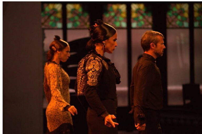 Barcelona: Gran Gala Flamenco Show Entry Ticket - Palau de la Música Catalana vs Teatre Poliorama: picking the room you’ll enjoy most