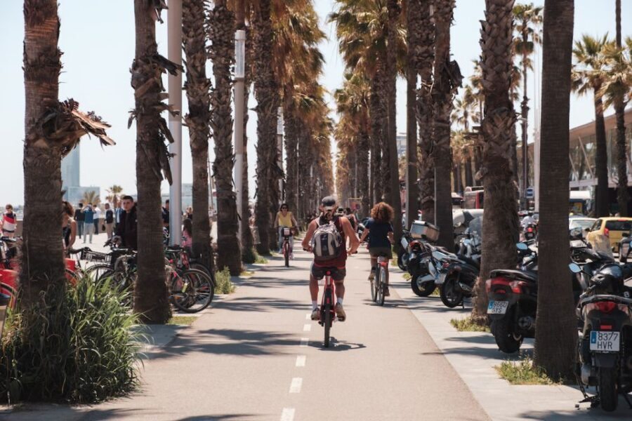 Barcelona: Guided Bike or E-Bike City Tour - Ciutadella Park and Arc de Triomf: a smart breather before the big one