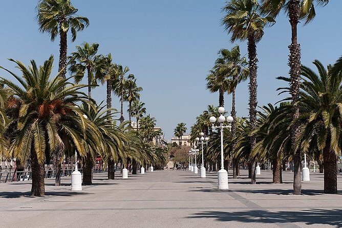 Barcelona Half-Day Sightseeing Private Tour - Optional Gaudí houses and Passeig de Gràcia stops