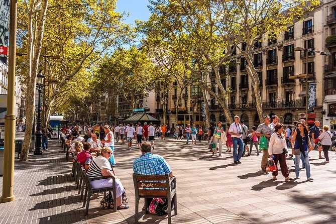 Barcelona Highlights Private Guided Tour with Hotel Pick-up - The money question: what $1,131.20 buys (and when it’s a deal)