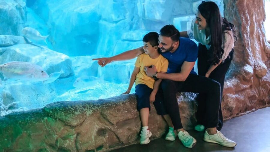 Barcelona: Hop-On Hop-Off Bus & Aquarium Tour - Key points before you go