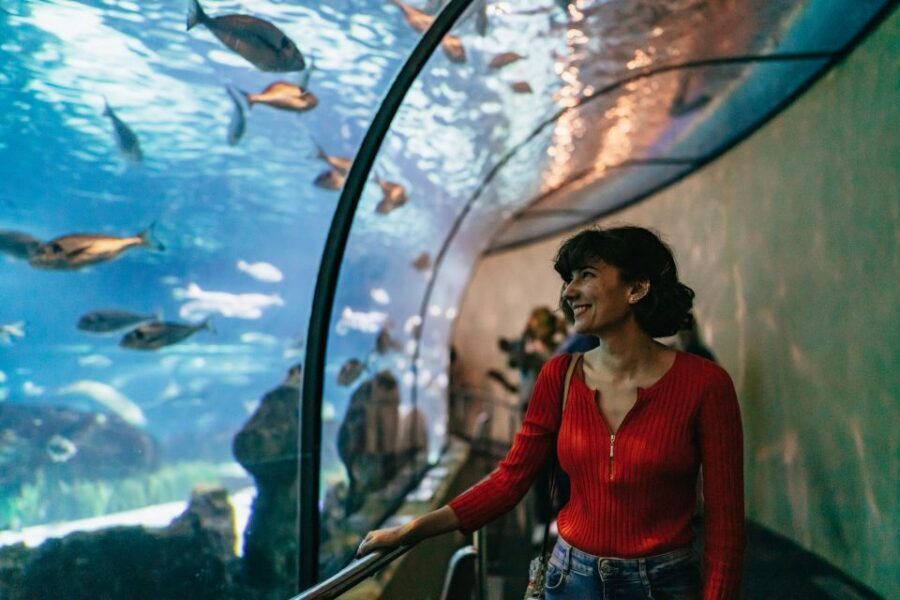 Barcelona: Hop-On Hop-Off Bus & Aquarium Tour - The Orange West Route: From Miró to the Sea