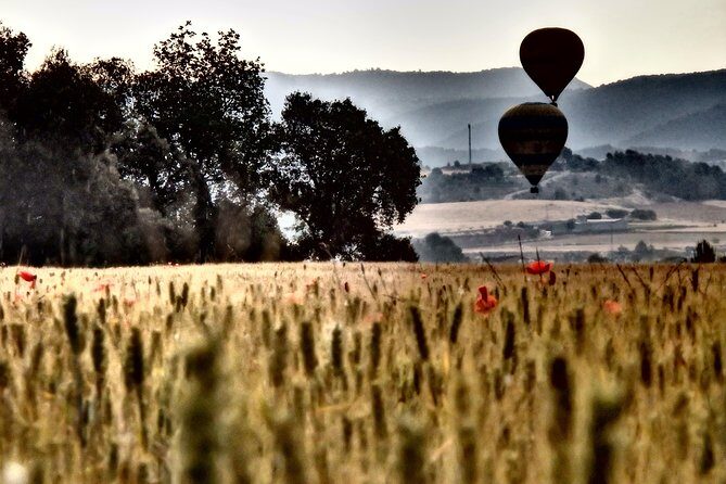 Barcelona: Montserrat Hot Air Balloon Ride with Champagne Toast - Price and value: what you’re paying for at about $272.21