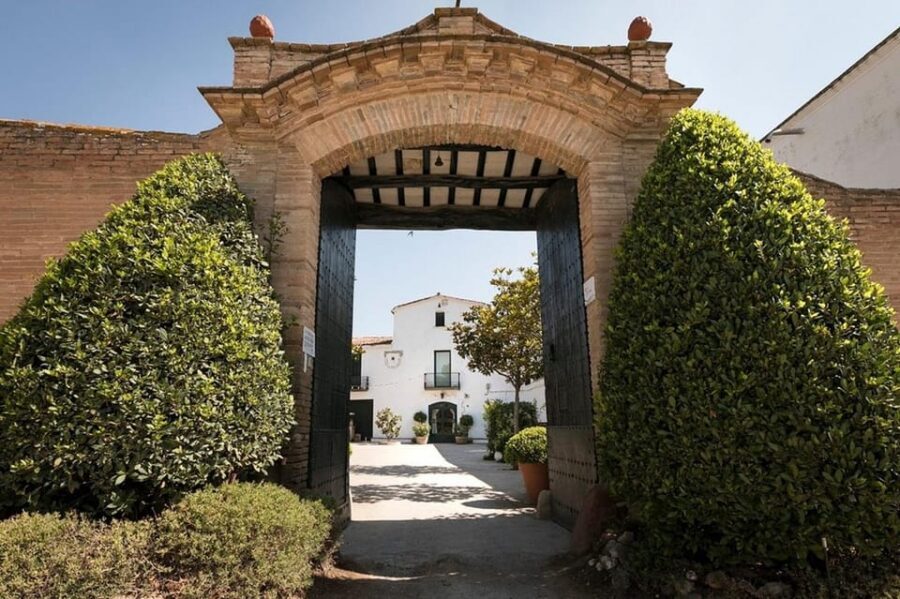 Barcelona: Montserrat Tour with Lunch & Wine Tasting Option - Catalan lunch at the winery: what’s on the plate