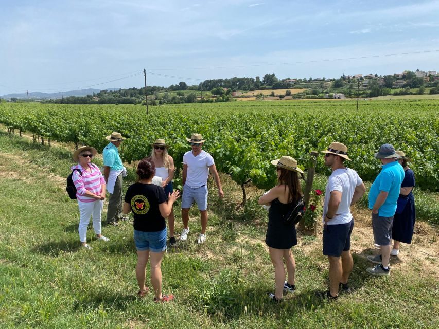 Barcelona: Montserrat with Winery Visit and Farmhouse Lunch - Small-Group Energy: Why the Guide Matters Here