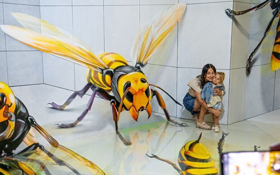 Barcelona: Museum of Illusions Entry Ticket - The 3D paintings: where the best photos come from