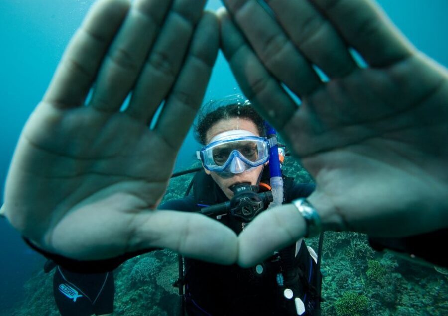 Barcelona: PADI Discover Scuba Diving - Price and Value: Why $81 Makes Sense for a First Session