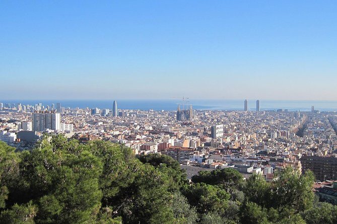 Barcelona: Park Guell Skip the Line Guided Tour - The guide experience: what you’ll actually learn (and enjoy)