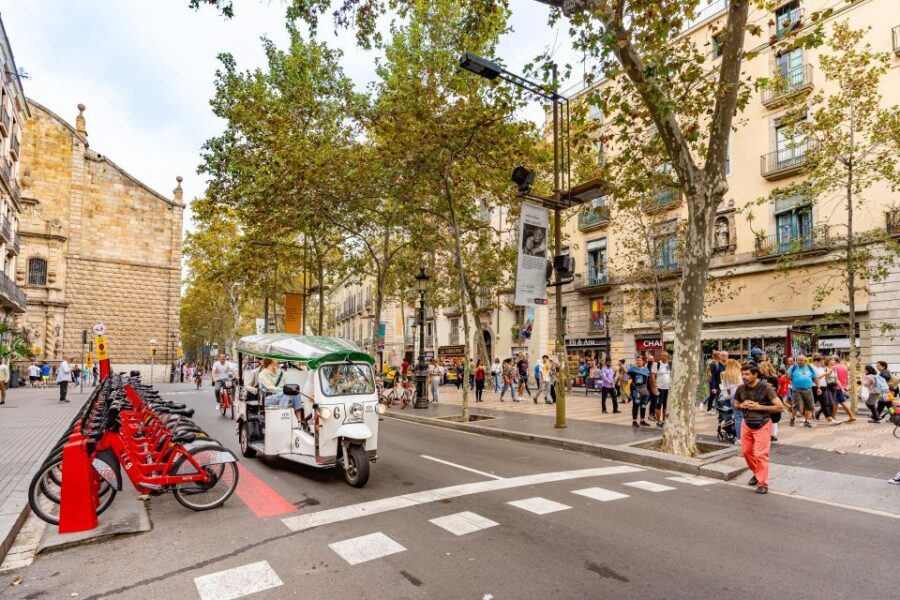 Barcelona: Private City Tour by Eco Tuk Tuk - Plaça de Catalunya and the Gothic Quarter: your orientation shortcut into old Barcelona