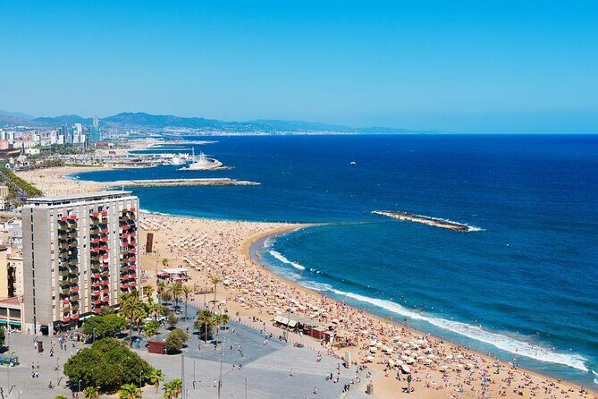 Barcelona Sunset Cruise with Light Snacks and Open Bar - Key highlights you’ll feel right away