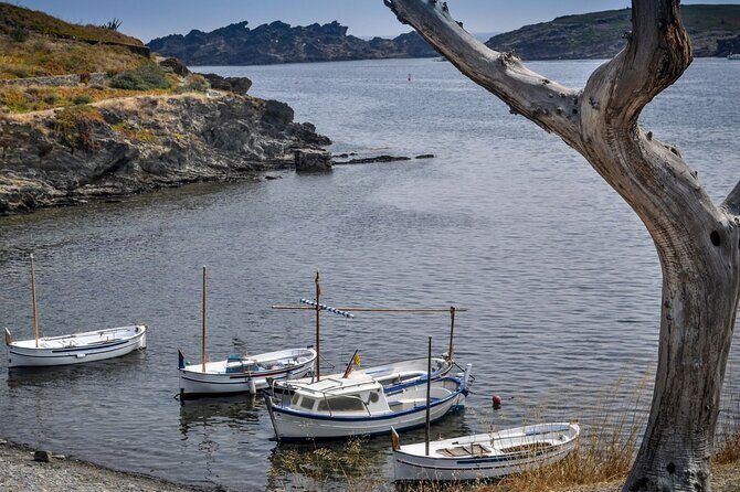 Boat through Cap de Creus and Port Lligat visit Cadaqués 1H30 - Cap de Creus National Park to the Faro: The East-End View