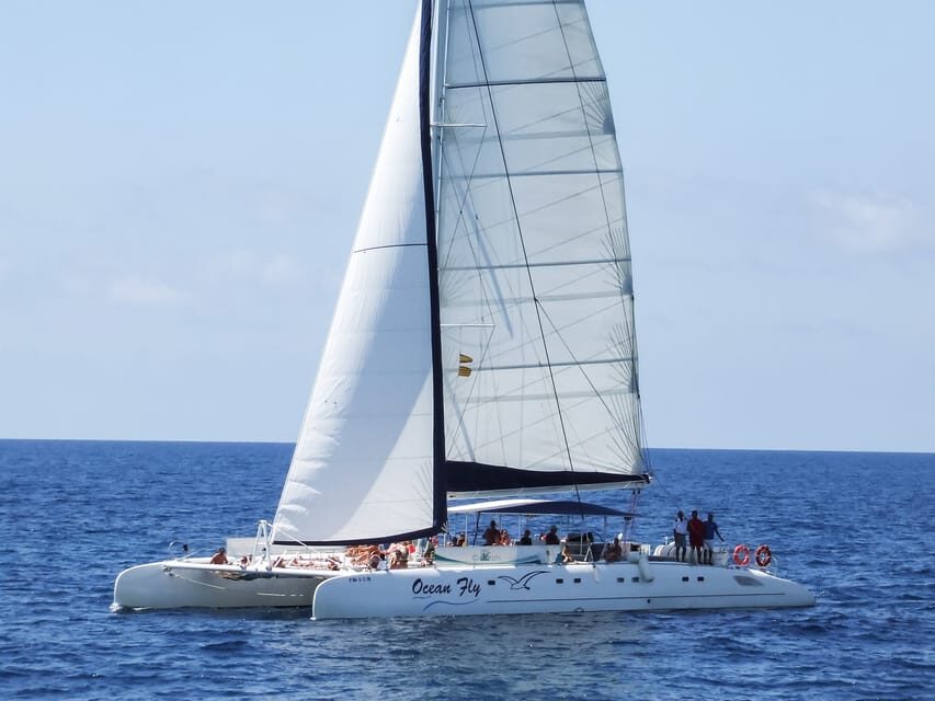 Cambrils: Costa Daurada Sail Catamaran Cruise - Should You Book the Cambrils Costa Daurada Sail Catamaran?