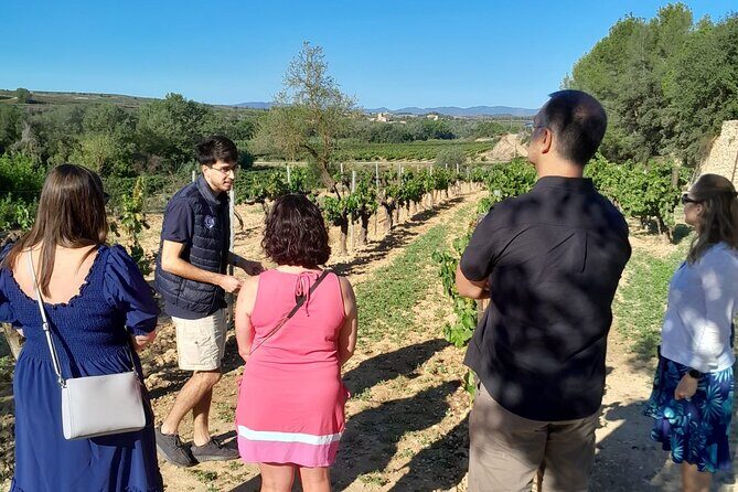 Cava tour to 3 family wineries with hotel pick-up - Stop 3: Vins El Cep Countryside Tasting With Pet-Nat and Gran Reserva