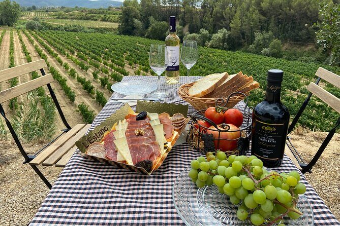 Cava tour to 3 family wineries with hotel pick-up - What You’ll Drink and Eat (And Why the Food Matters)