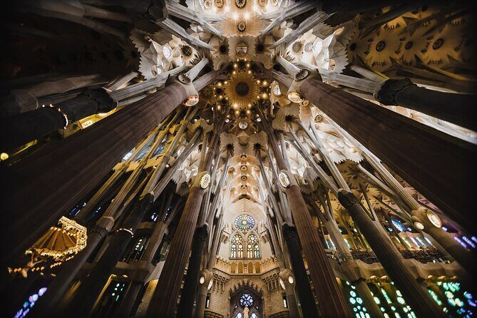 Complete Gaudi Tour: Casa Batllo, Park Guell & Sagrada Familia - Park Güell with timed entry: why this stop can make or break the day