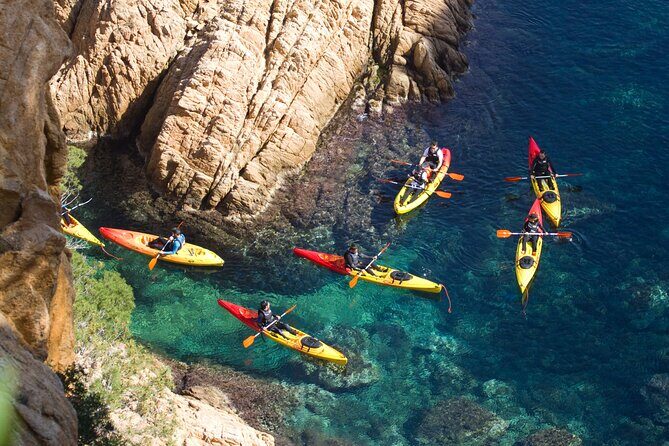 Costa Brava - Kayaking and Snorkeling "Sea Caves" Tour - Snorkeling in a protected cove: how to get more from the water