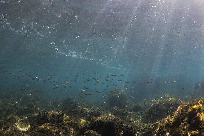 Double Discover Scuba Diving - Two Supervised Underwater Sessions in Confined Waters (Up to 12m)