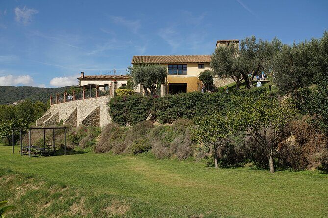 Ebike Tour, Winery, Wine Tasting & Sailing Experience(car option) - Alella winery stop: tasting plus real time in the vines