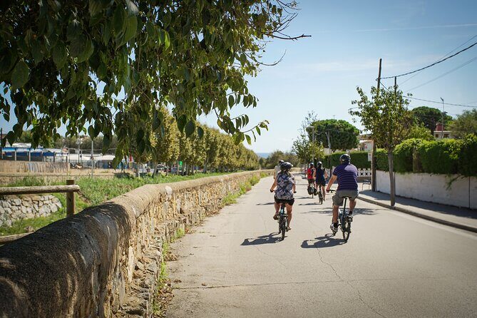 Ebike Tour, Winery, Wine Tasting & Sailing Experience(car option) - Sailing back: drinks, snacks, and when to plan for choppy water