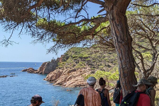 Explore Costa Brava & Tossa de Mar Coastal Trails, Snorkel & Meal - Cala Sa Conca: calmer coastal time to finish strong