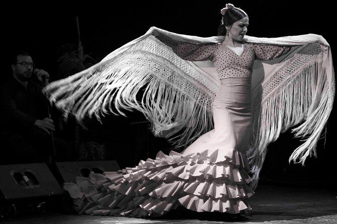 Flamenco Show Ticket at Theatre Barcelona City Hall - Small-theatre practicalities: comfort, noise, photos, and exit lines