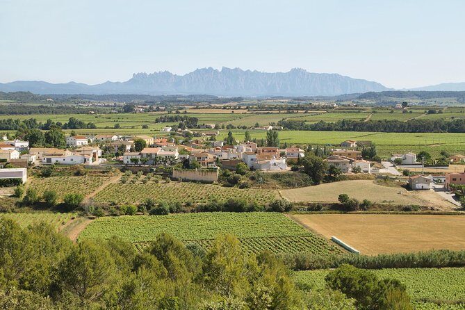 Food and Wine Small Group Tour from Barcelona - Maximum 8 people - Penedés Cava Country: Subterranean Cellars and Four Tastings