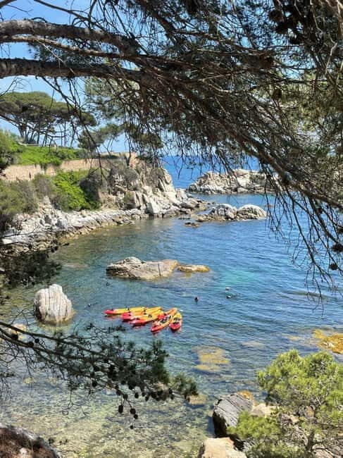 From Barcelona: Costa Brava Kayak & Snorkel Tour with Picnic - What You Learn About the Coast (Beyond Just the Pretty Stuff)