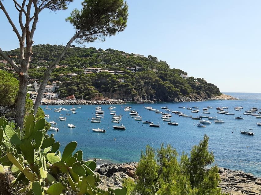 From Barcelona: Costa Brava Typical Towns full day tour - Should You Book This Costa Brava Day Tour?