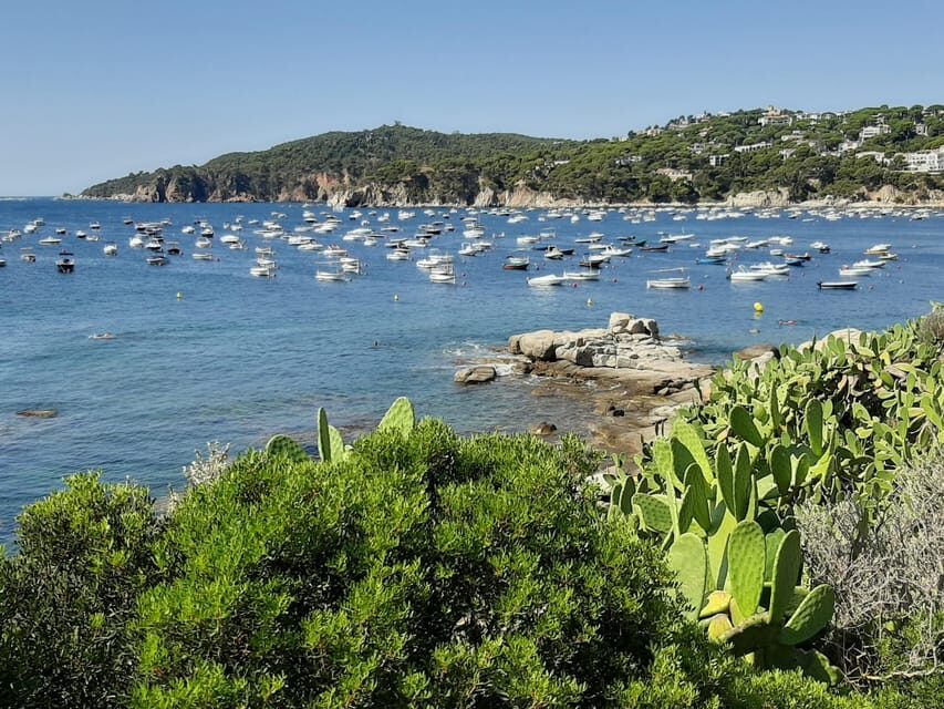 From Barcelona: Costa Brava Typical Towns full day tour - Price and Value: What $74 Buys You (and What It Doesn’t)
