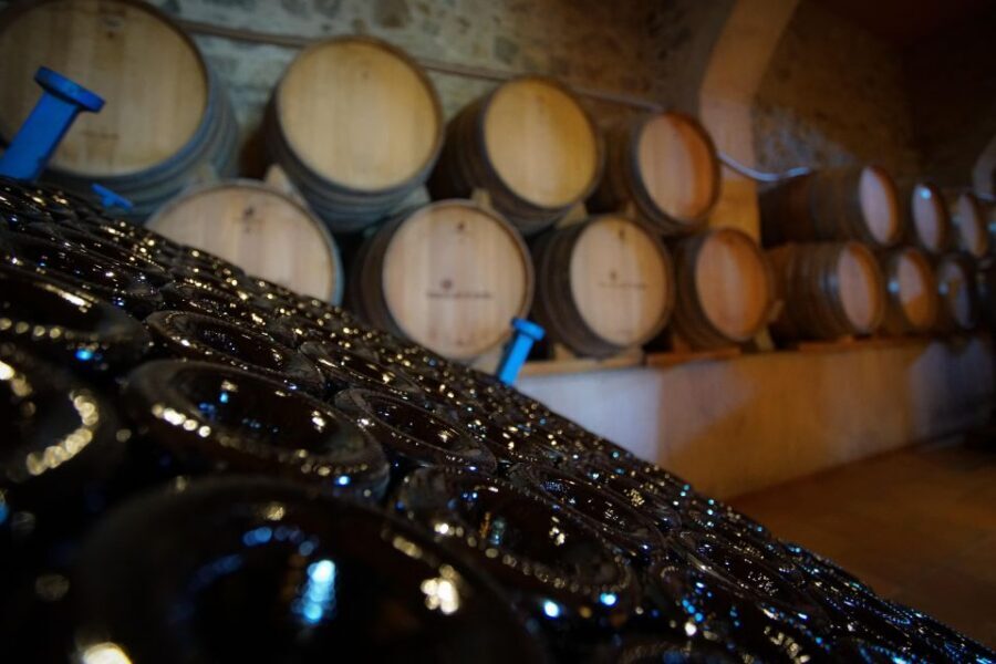 From Barcelona: E-Bike and Sailing Tour with Wine Tastings - Value check: is $100 a good deal for what you get?